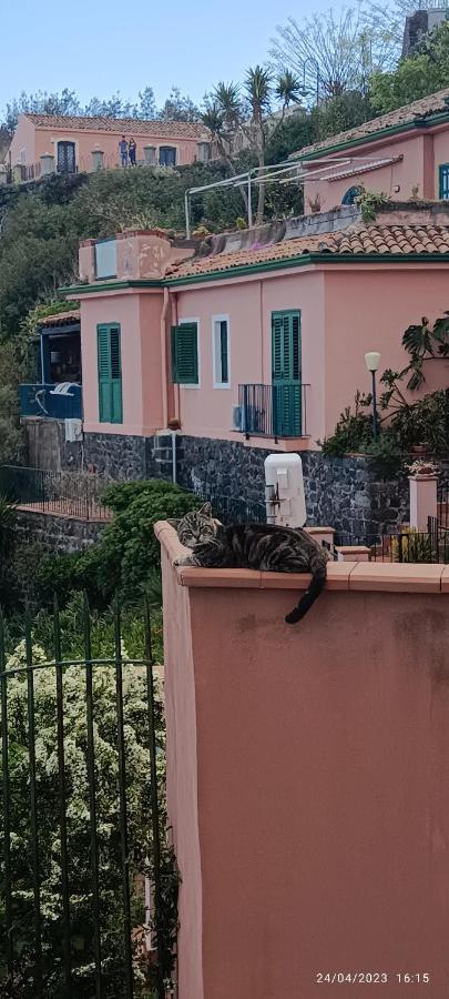 La Timpa Βίλα Acireale Εξωτερικό φωτογραφία